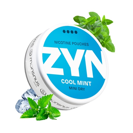 ZYN Cool Mint (6)